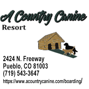 A Country Canine Resort